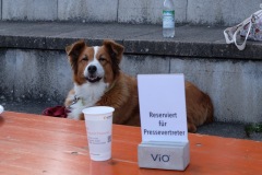 DSCF9767-Gross